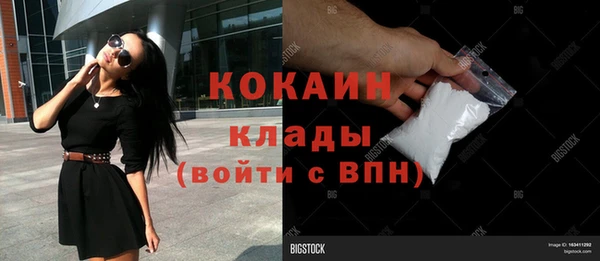 соль ск Алзамай