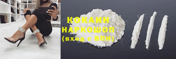 винт Абаза