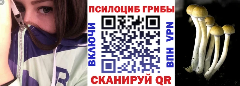 купить наркотики сайты  hydra   Псилоцибиновые грибы Cubensis  darknet какой сайт  Нефтегорск 