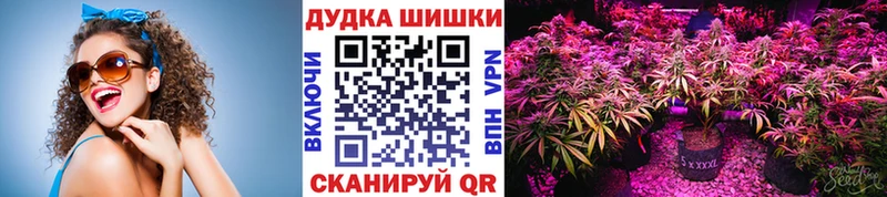 маркетплейс Telegram  Нефтегорск  Бошки марихуана тримм  цена наркотик 